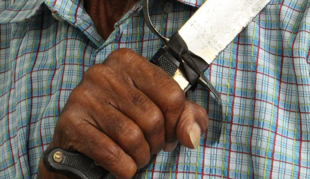 Imagen de referencia