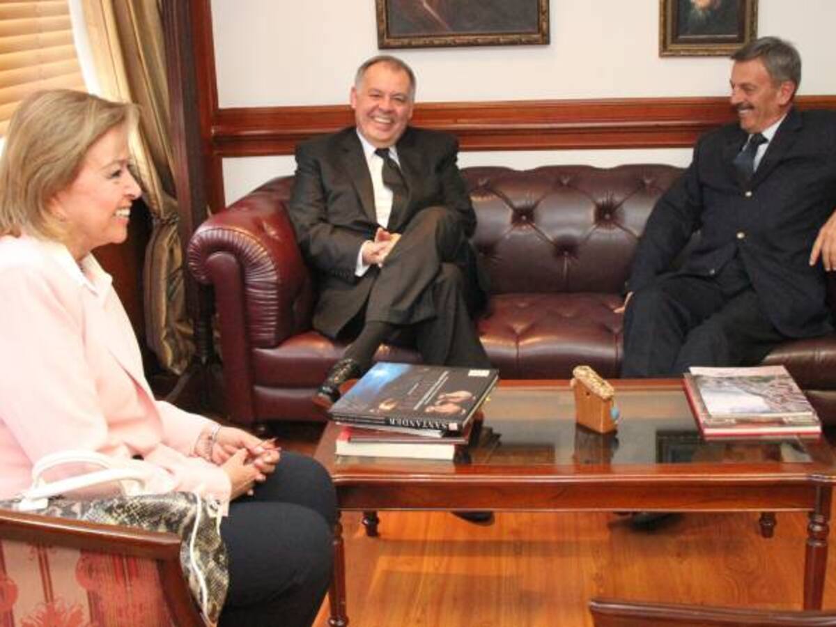 Procurador estoy libre gracias a usted: Plazas Vega