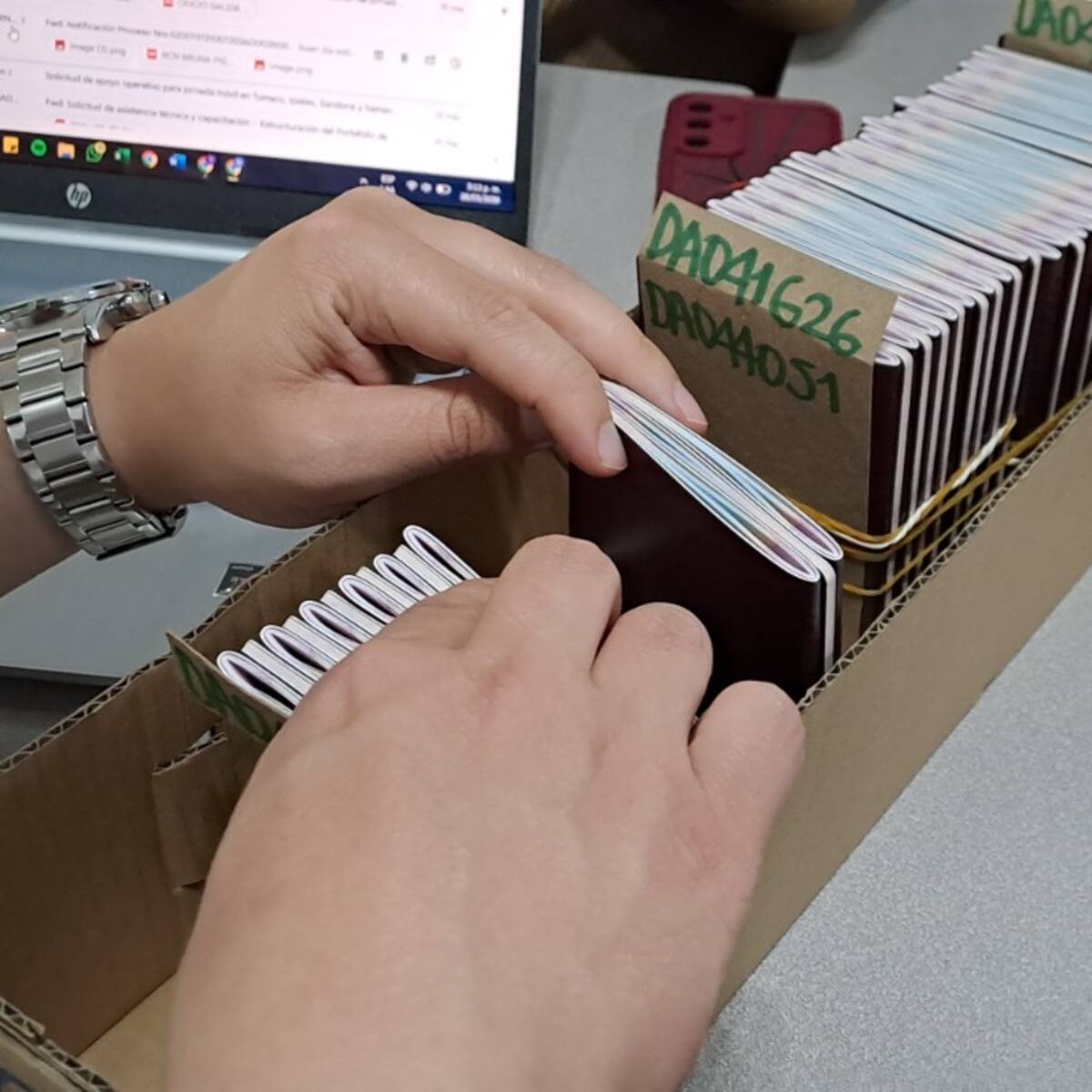 Declaran improcedente tutela de Cancillería y mantiene en curso proceso contra modelo de pasaportes