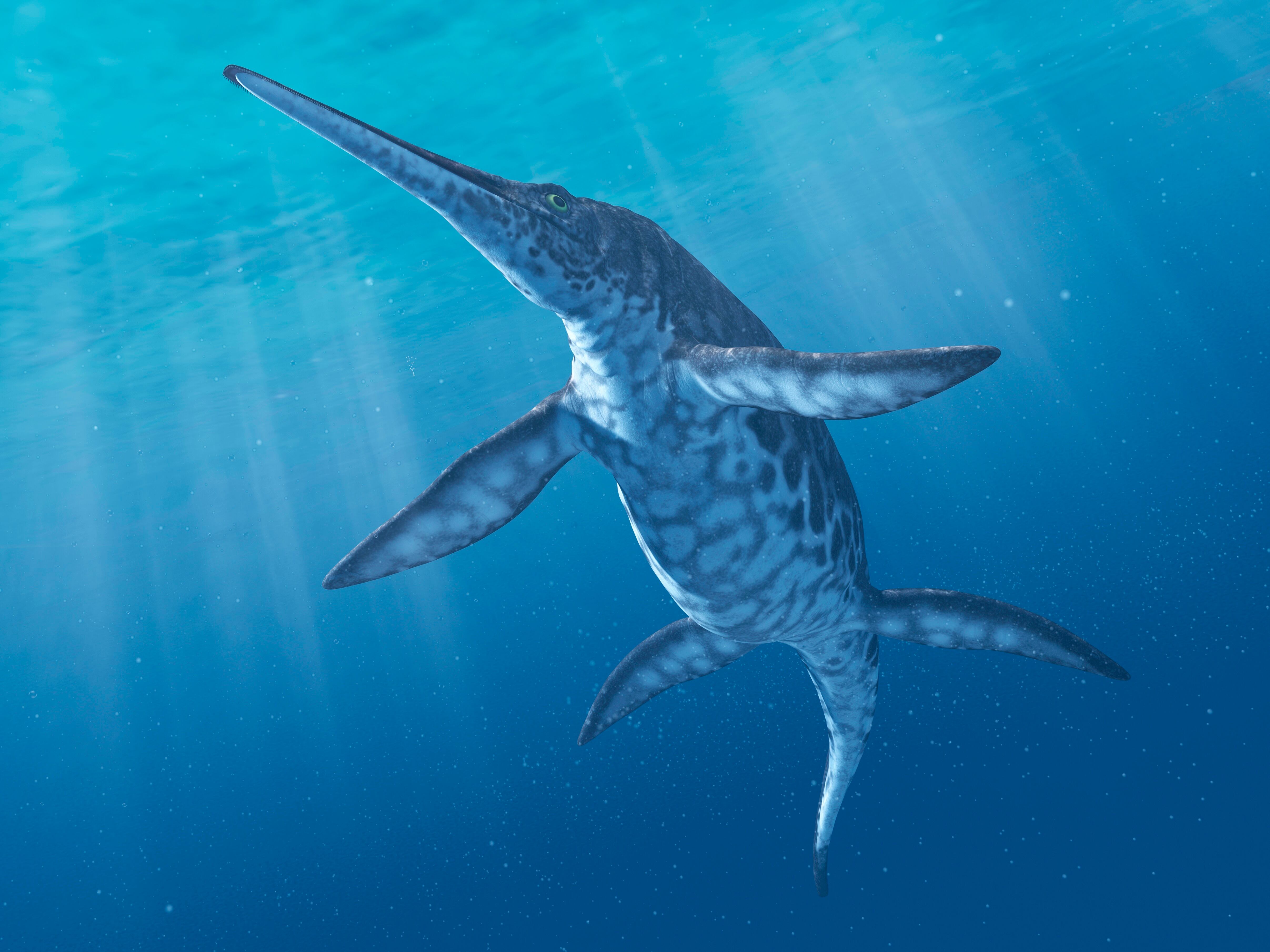 Dinosaurio Marino  - Getty Images