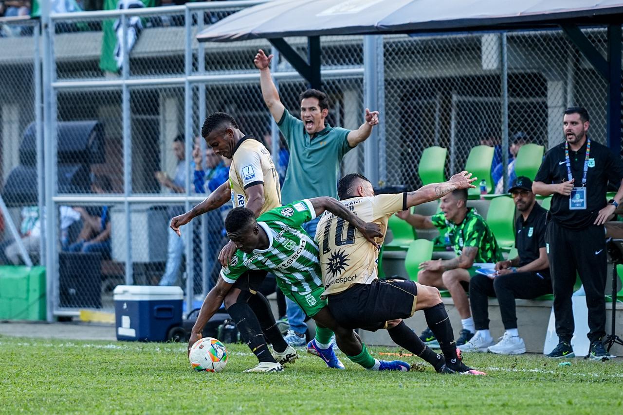 Diego Arias, DT de Atlético Nacional / Colprensa.