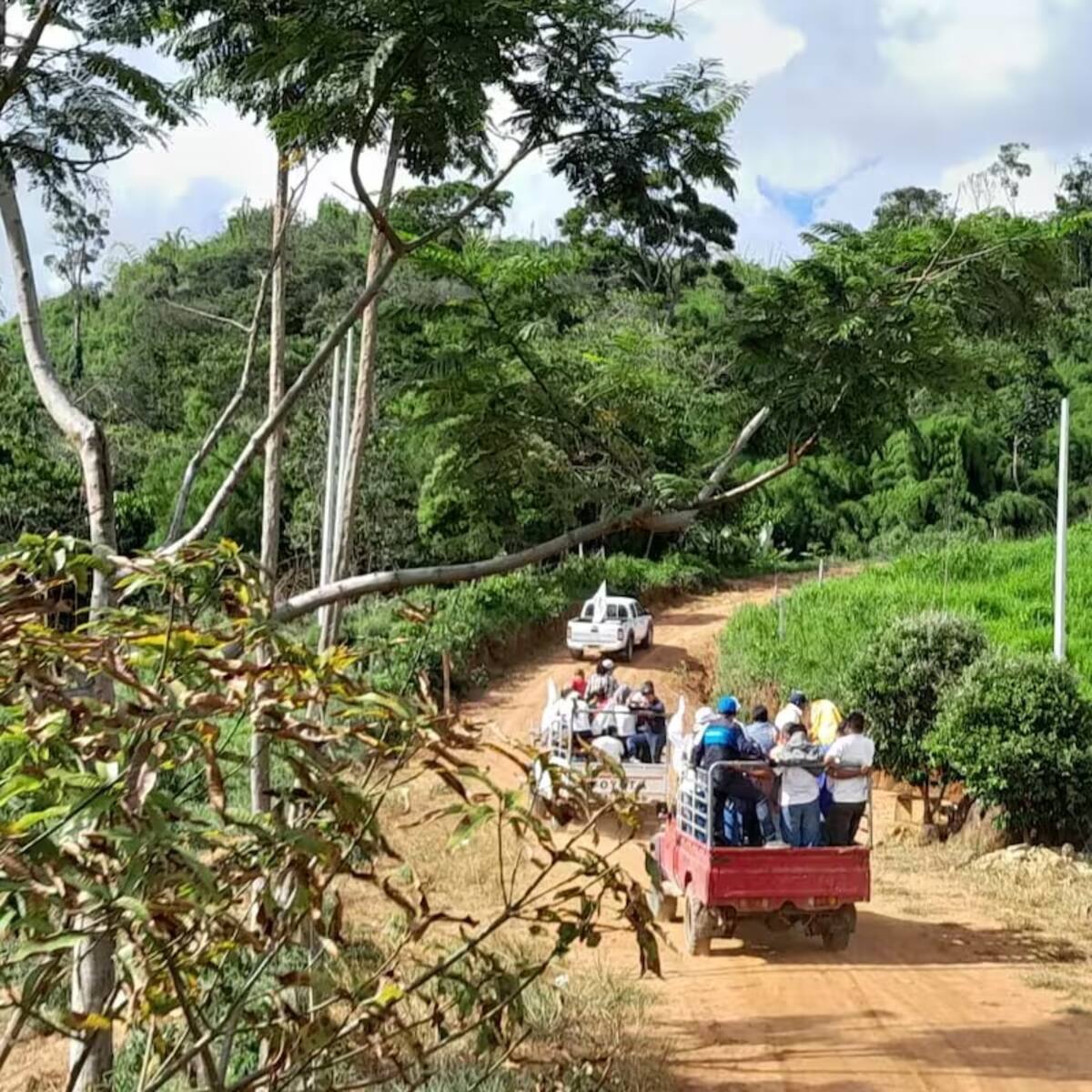 Grupos armados ilegales han crecido un 400% en el sur de Bolívar