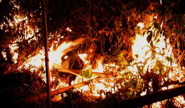 Incendios forestales en la Vega Cundinamarca.