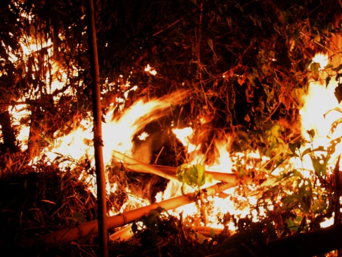 Cerca de 87.000 hectáreas incineradas y cuatro muertos deja incendios forestales