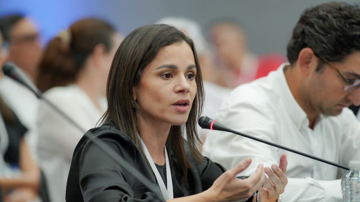 “Sirius 2 es la única esperanza para la autosuficiencia”: presidenta de Naturgas por salida de Shell