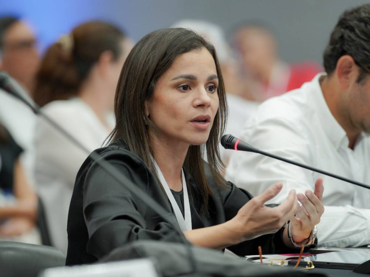 “Sirius 2 es la única esperanza para la autosuficiencia”: presidenta de Naturgas por salida de Shell