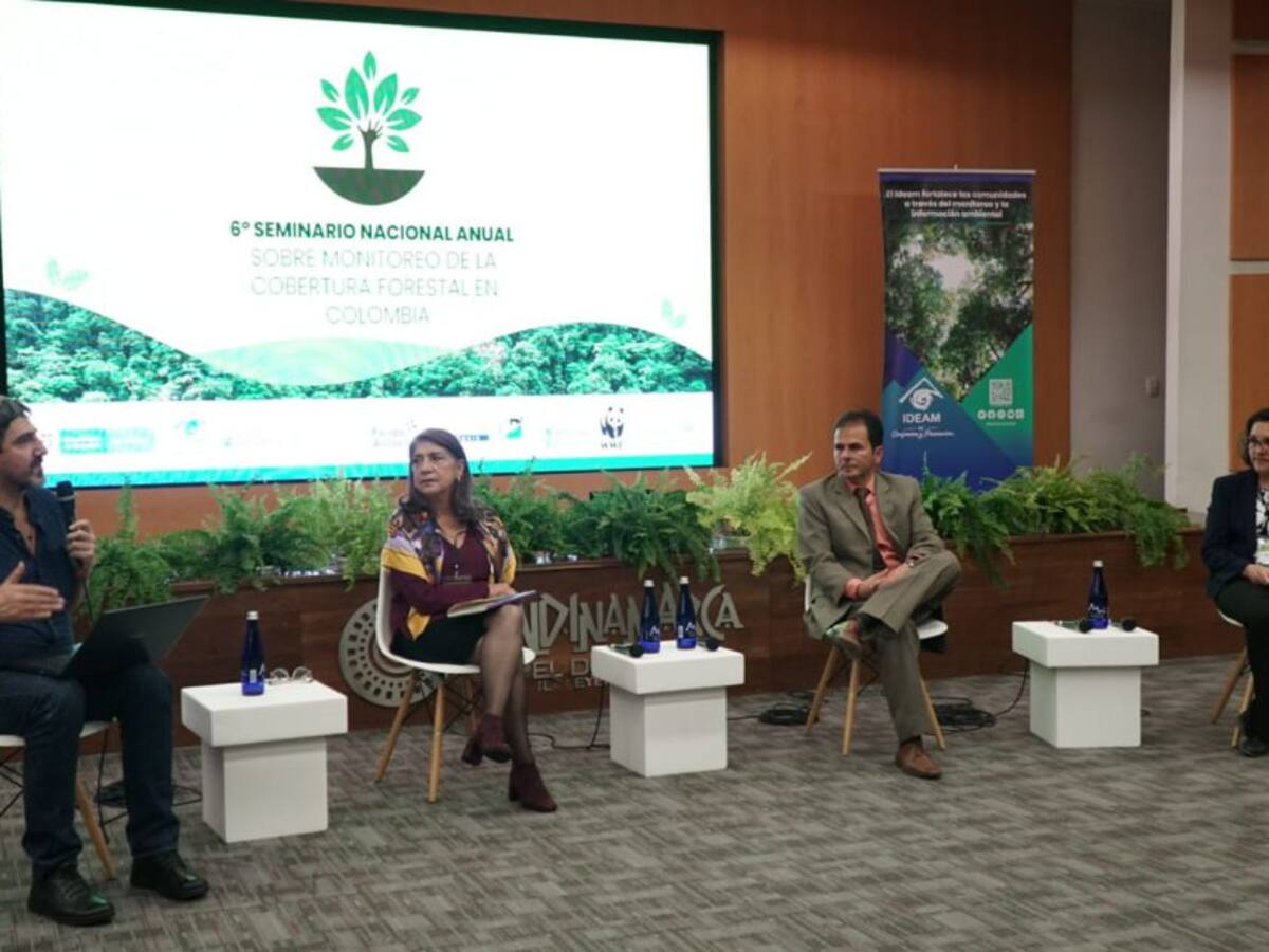 El monitoreo de bosques, clave para combatir la deforestación