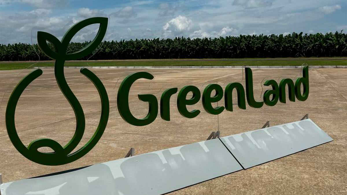 GreenLand: orgullo de Urabá que impulsa el futuro con trabajo, innovación y compromiso social