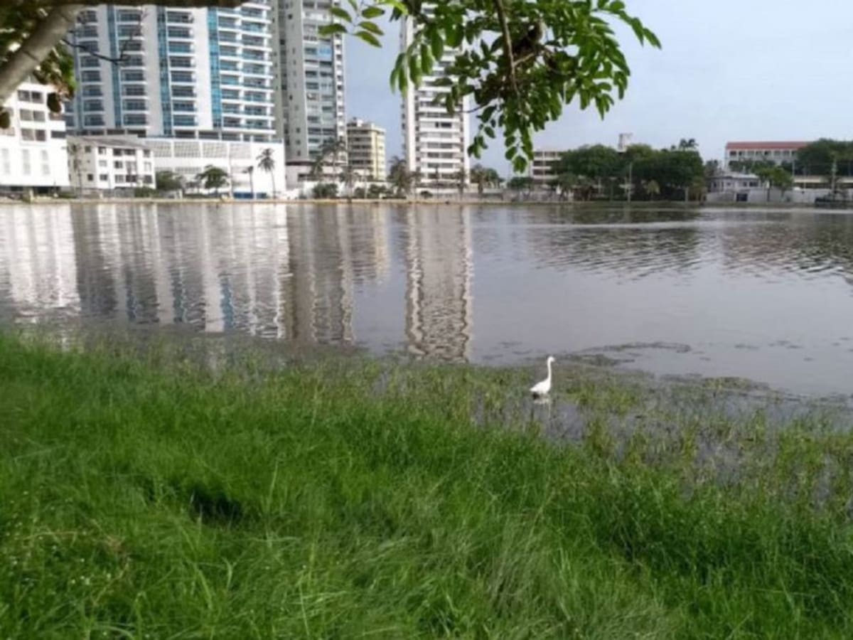 Un mes de calamidad pública y El Laguito sigue sin soluciones en Cartagena