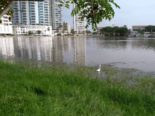 Un mes de calamidad pública y El Laguito sigue sin soluciones en Cartagena