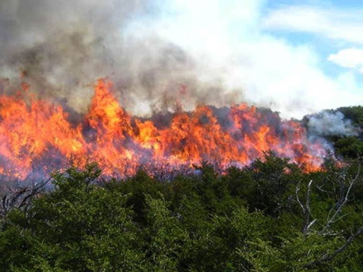 Seis incendios forestales se registraron el fin de semana en Santander