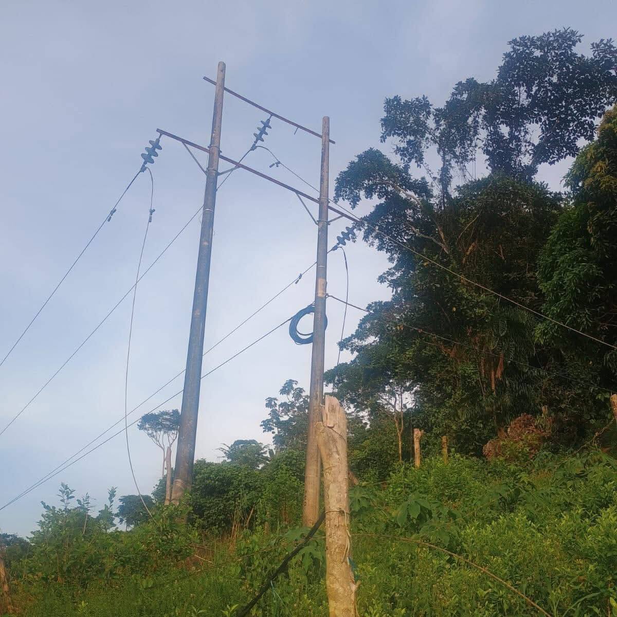 La caída de un árbol dejó sin luz al municipio de El Tarra, Norte de Santander