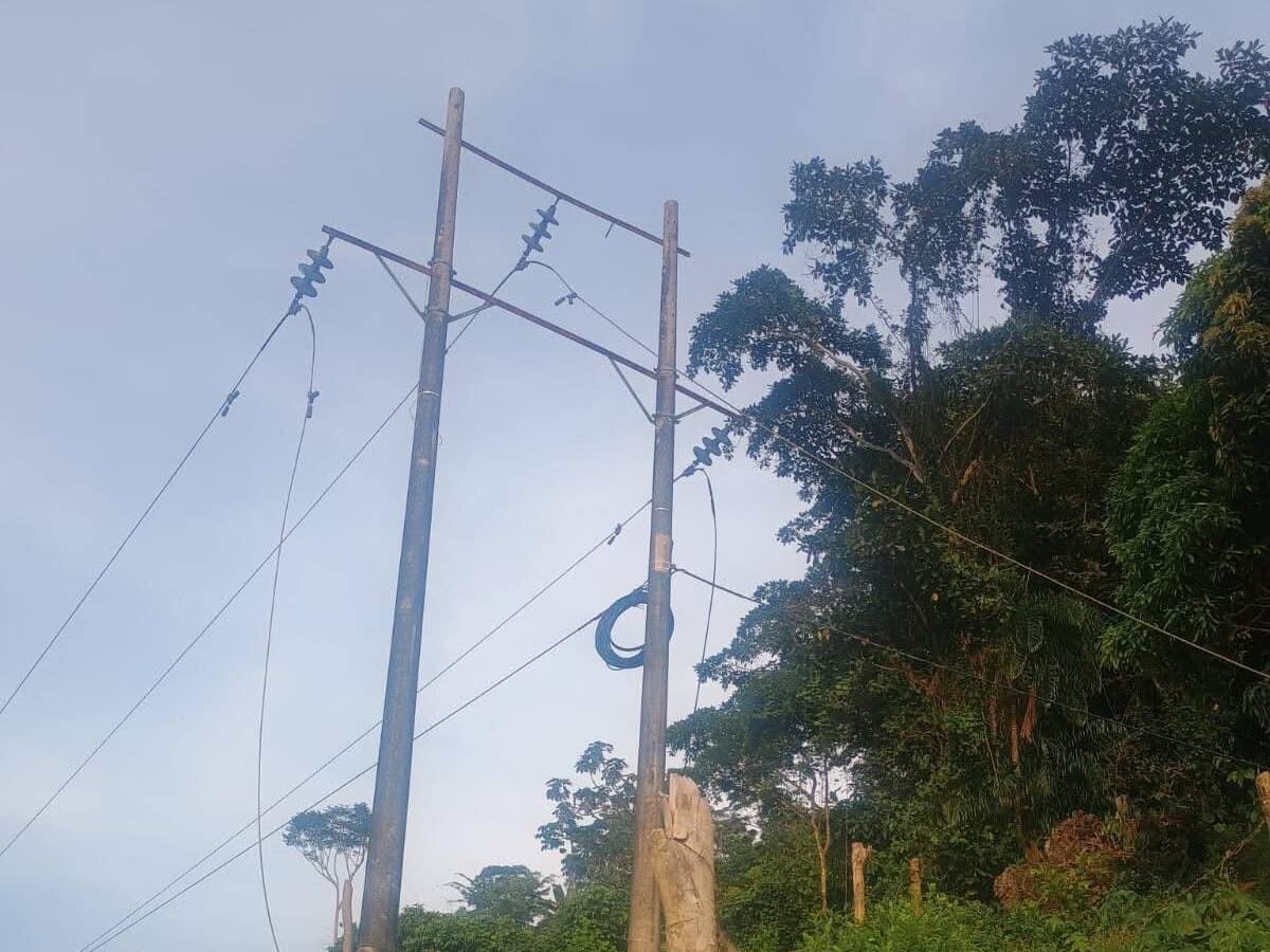 La caída de un árbol dejó sin luz al municipio de El Tarra, Norte de Santander