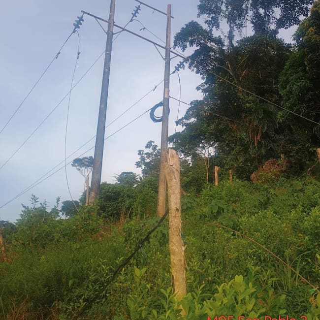 Caída de árbol dejó sin luz al municipio de El Tarra, en Norte de Santander. / Foto: CENS.