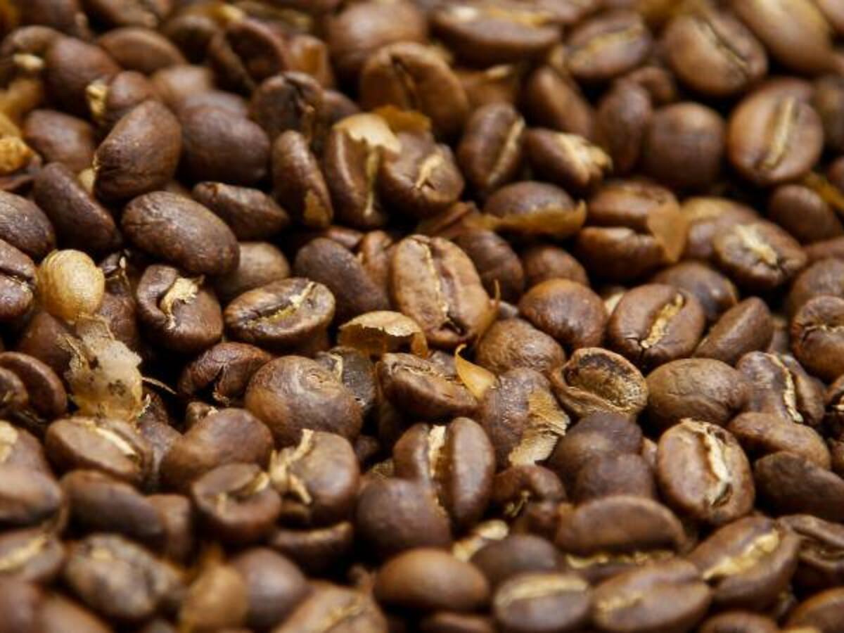 Roberto Vélez era la mejor opción: cafeteros en Antioquia