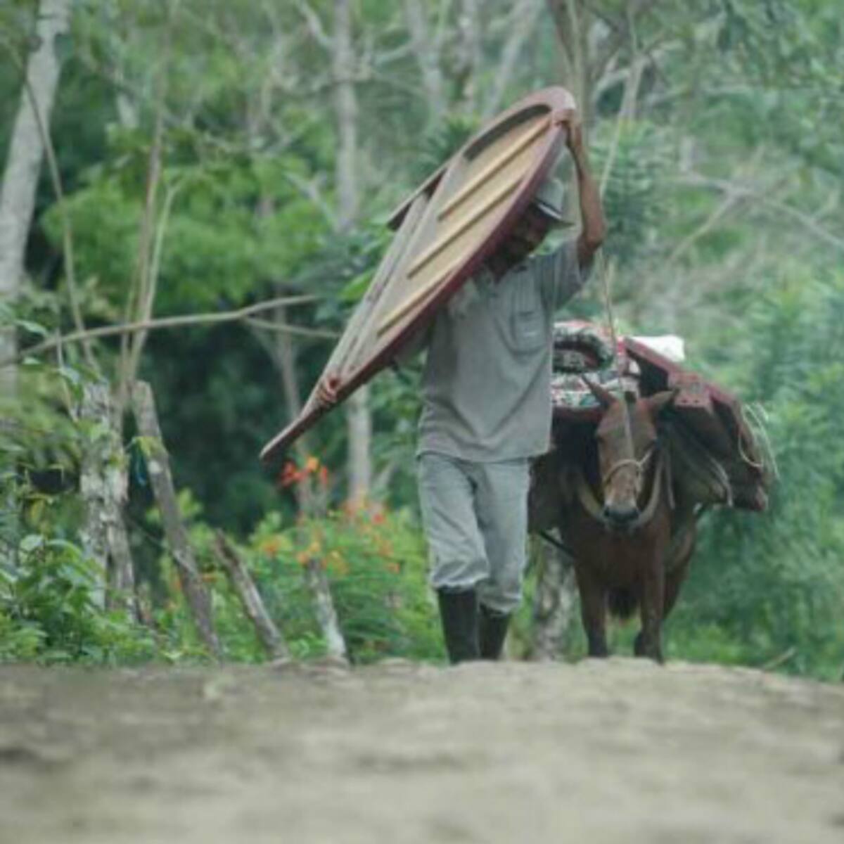 27 municipios reportan casos de desplazamiento forzado: Defensoría Huila