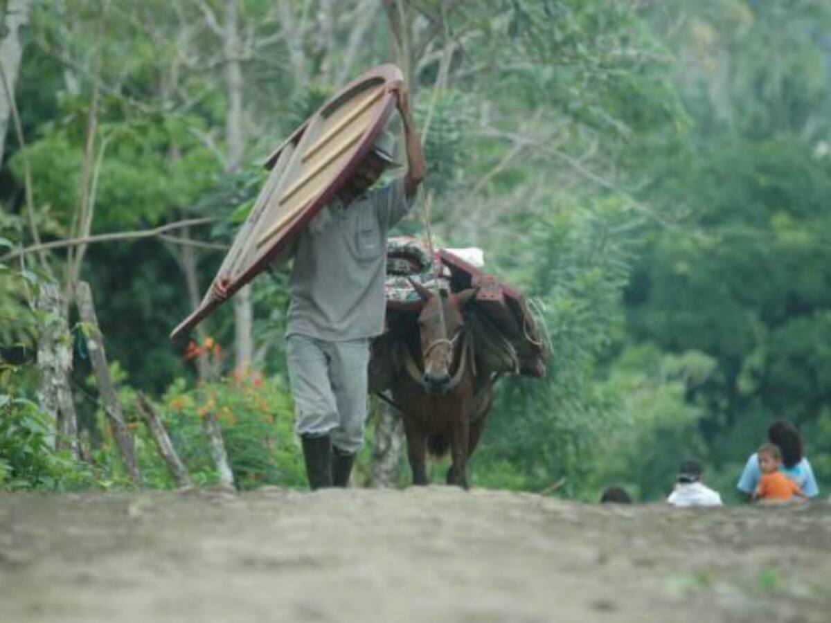 27 municipios reportan casos de desplazamiento forzado: Defensoría Huila