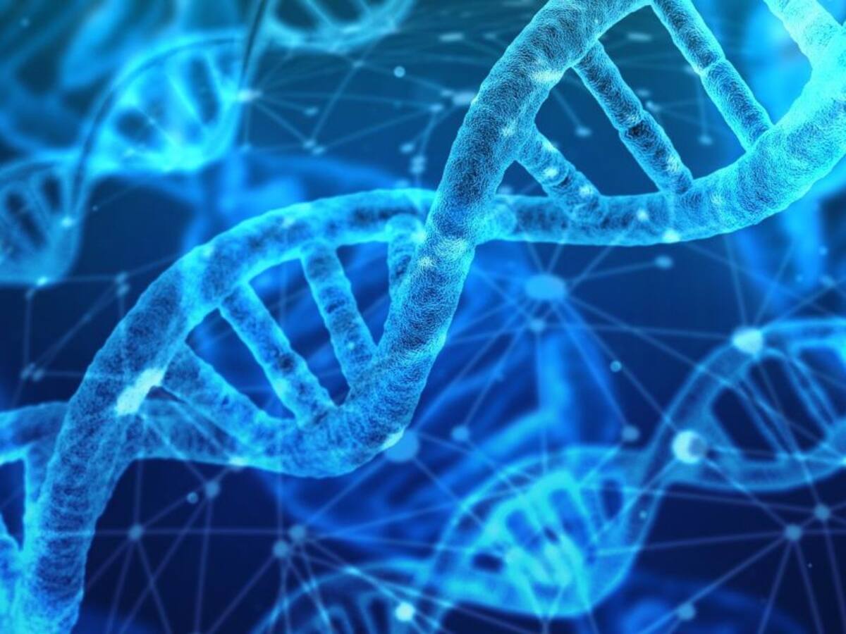 ¿Qué es el glutatión?