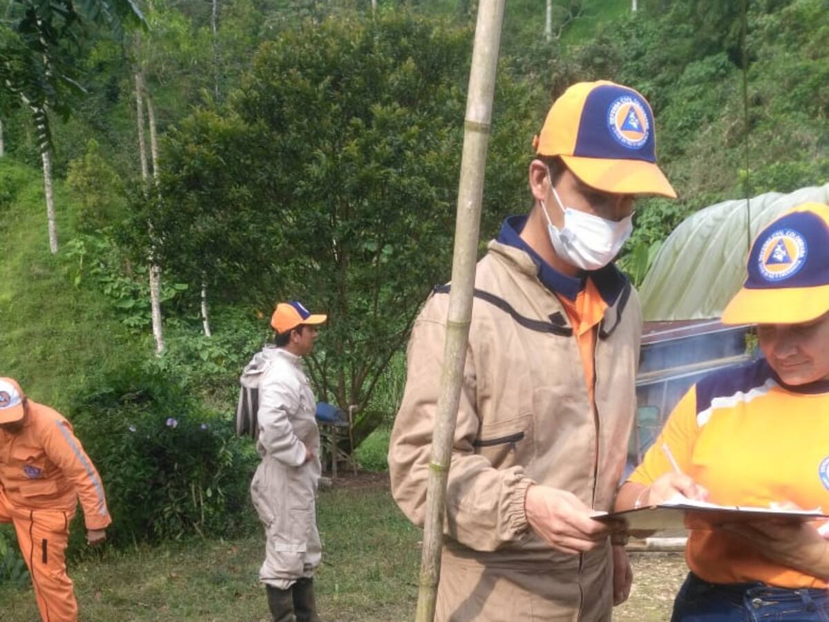 Tres personas afectadas por ataque de abejas en Fresno, Tolima