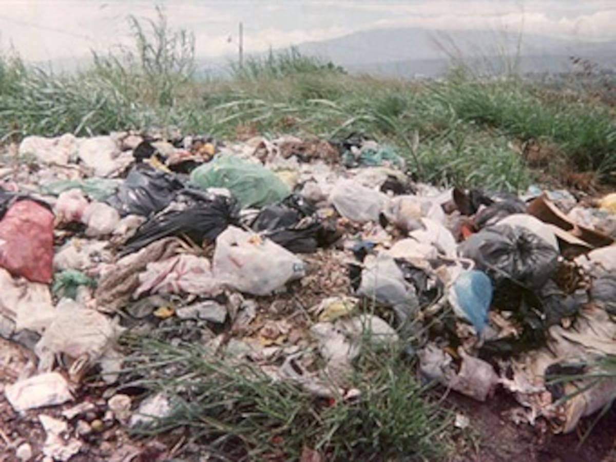 'Biorrefinería': iniciativa mexicana para aprovechar la basura