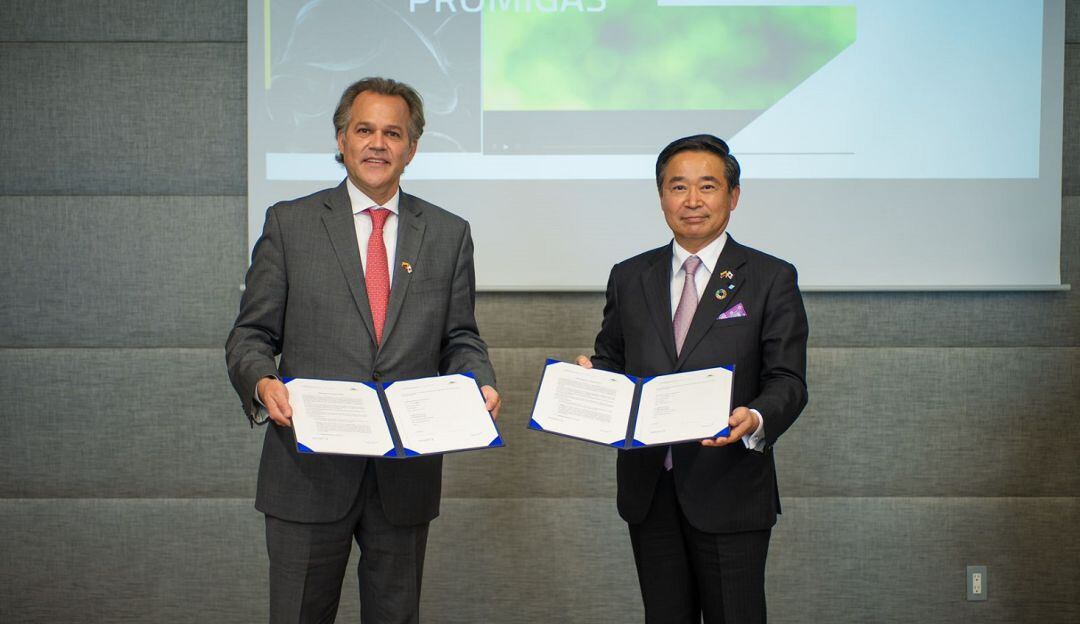 En las primeras fases de la alianza se desarrollarán estudios para determinar las oportunidades y retos de la producción