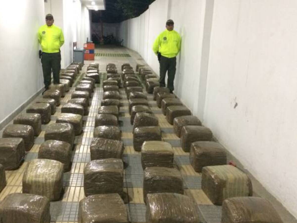 Incautan una tonelada de marihuana y 79 kilos de cocaína en el Valle