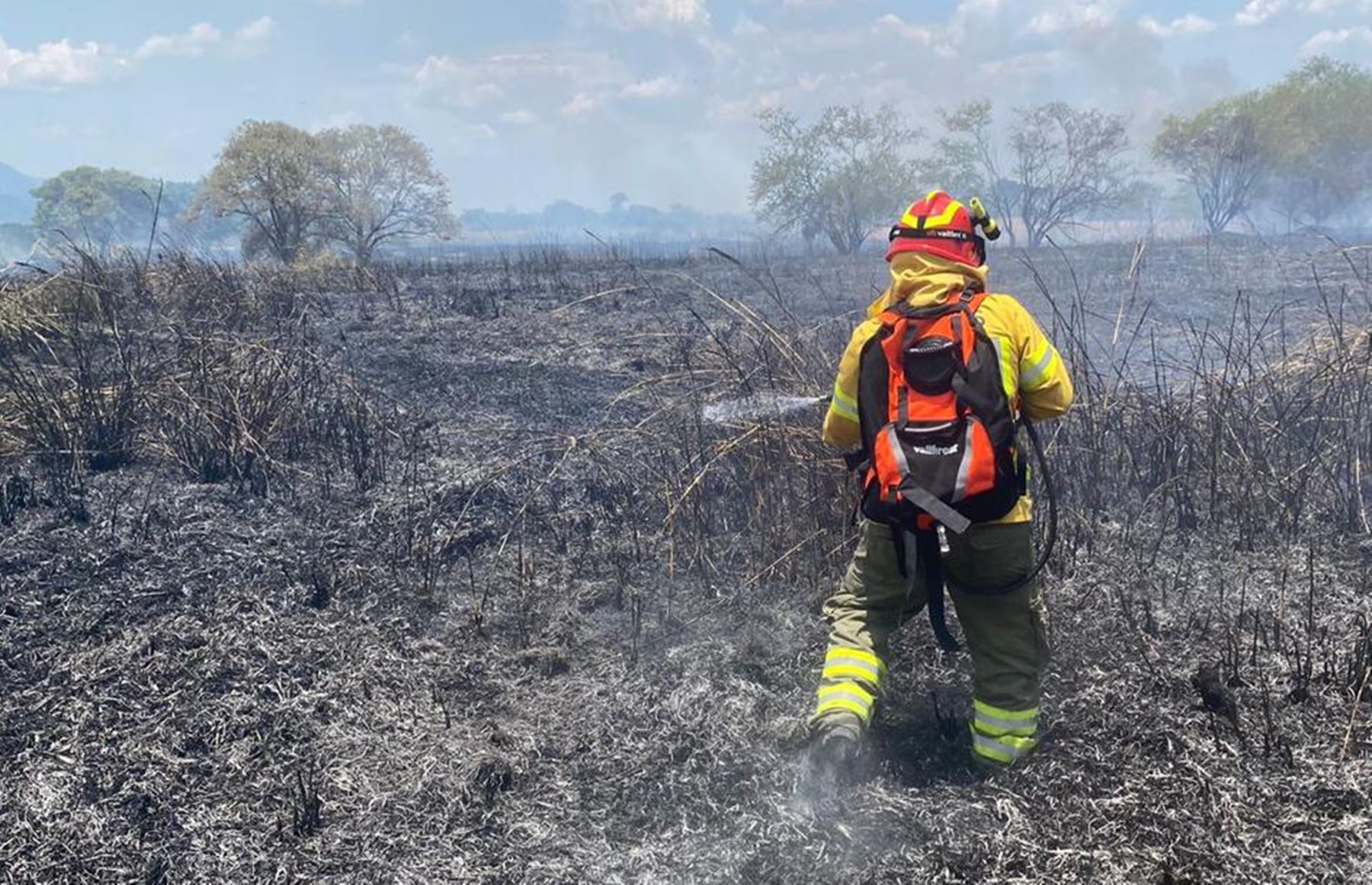 Incendios forestales en Ibagué