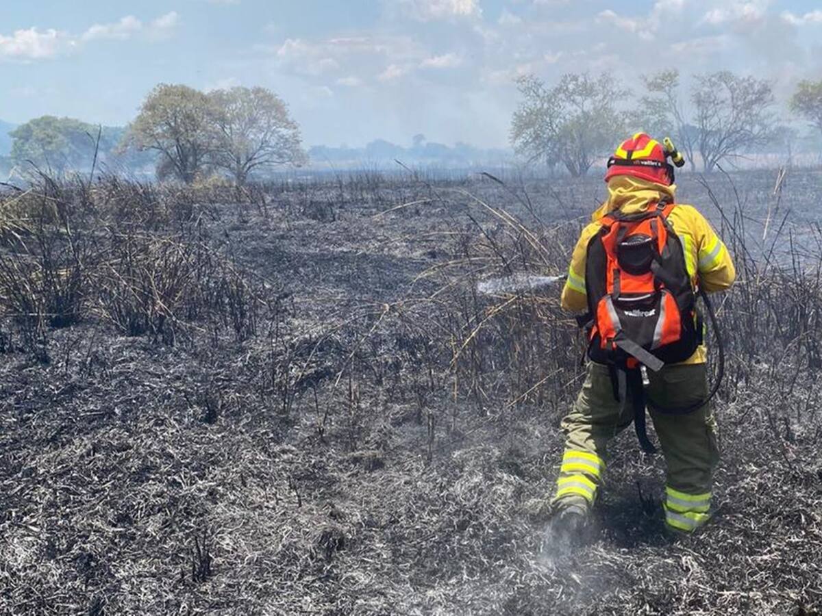 Habitantes en condición de calle estarían detrás de incendios forestales en Ibagué