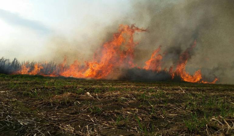 Ya se cumplen cuatro horas de labor por parte de los organismos de socorro intentando apagar el incendio que, se dice, fue provocado. 
