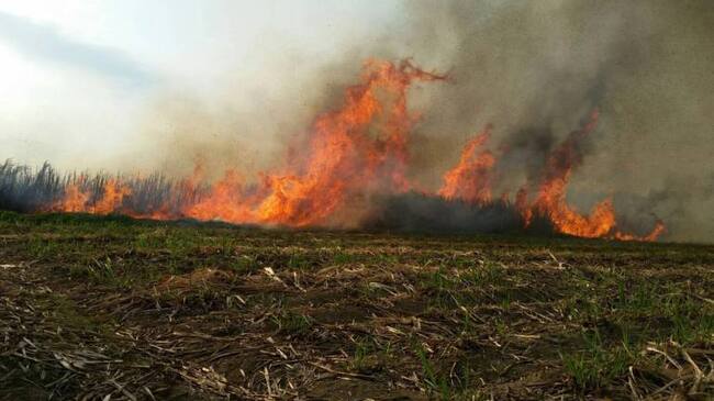 Ya se cumplen cuatro horas de labor por parte de los organismos de socorro intentando apagar el incendio que, se dice, fue provocado.