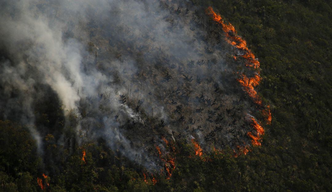319 incendios que se han presentado en 154 municipios del país.