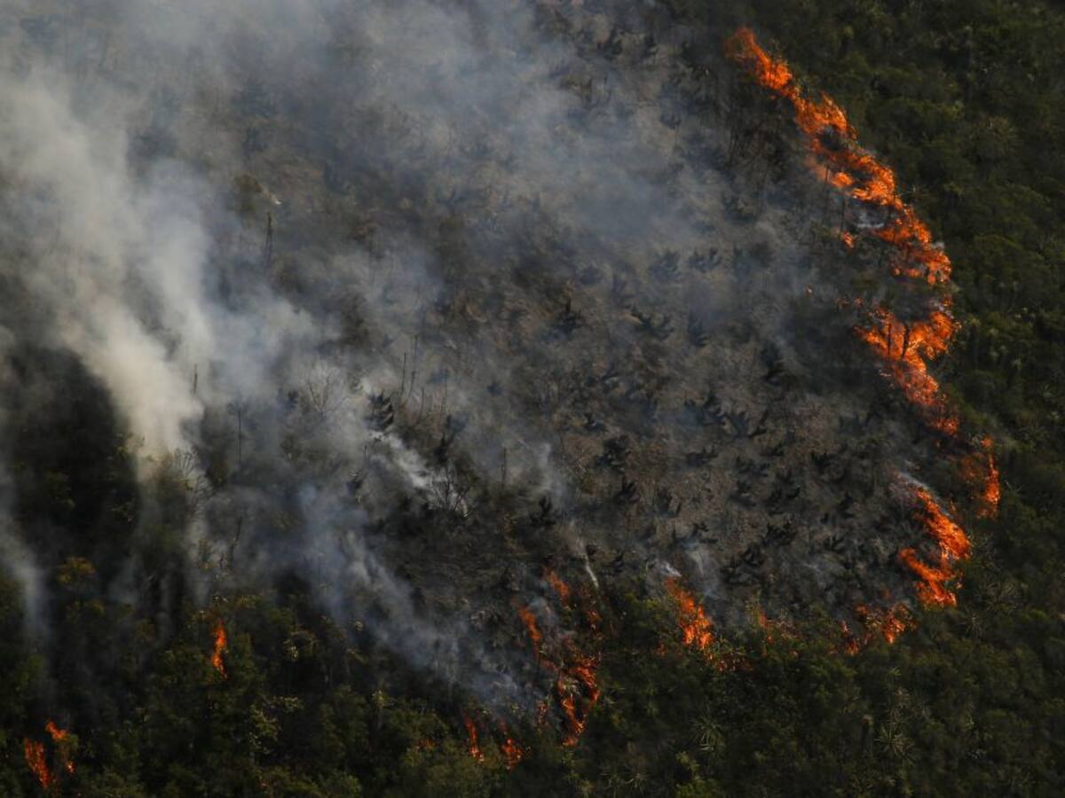 Más de 10.600 hectáreas consumidas por incendios en temporada seca