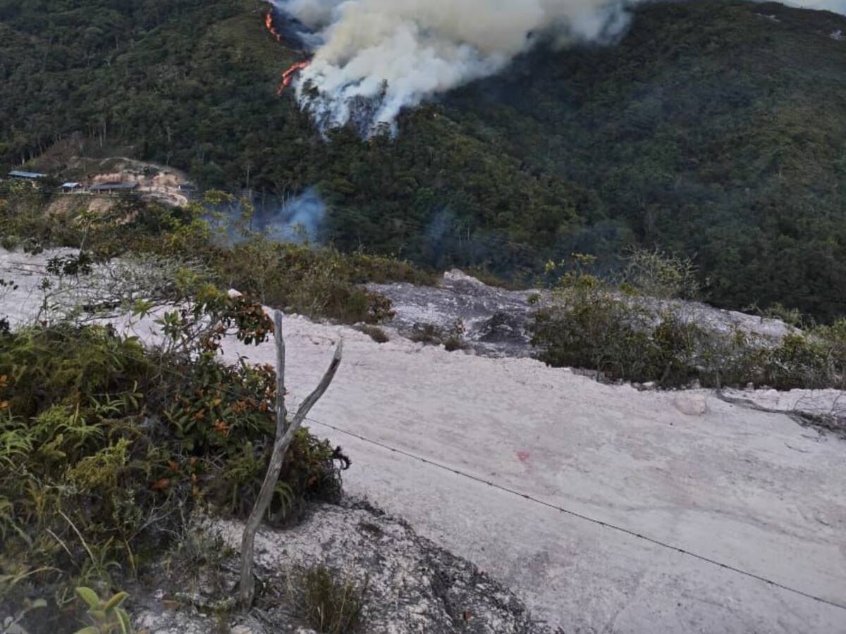 40 hectáreas de bosque consume incendio en el municipio de Ocaña