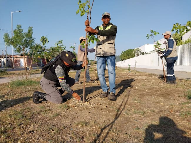 EPA Cartagena retoma siembra de árboles y celebra Día Mundial de la Educación Ambiental