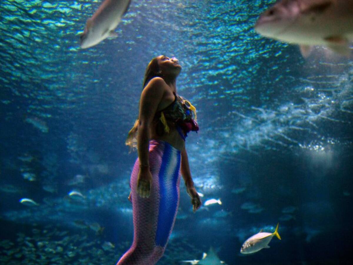 Una sirena brasileña lucha contra la contaminación de los mares