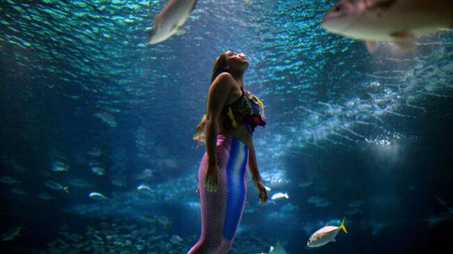 Una sirena brasileña lucha contra la contaminación de los mares