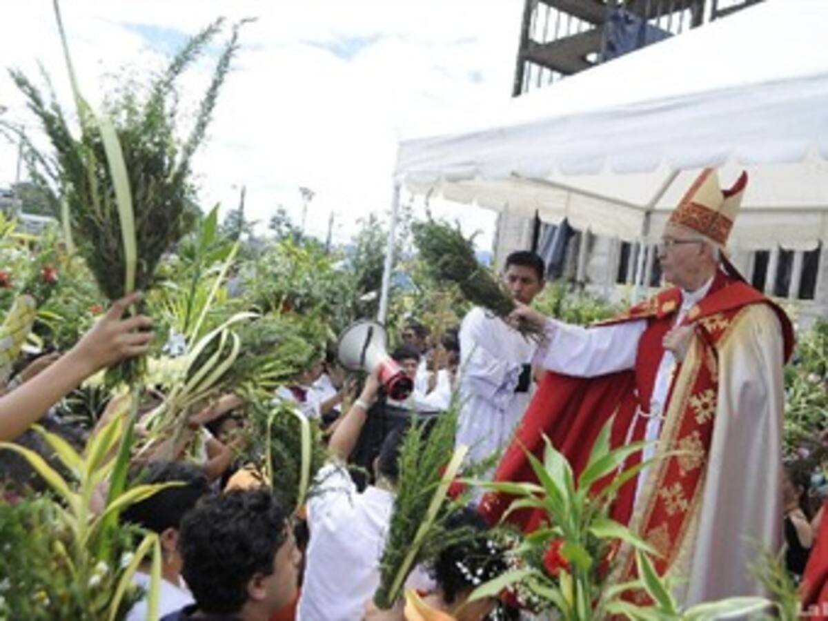 5.000 ramos artificiales serán entregados por Corpoboyacá para el Domingo de Ramos