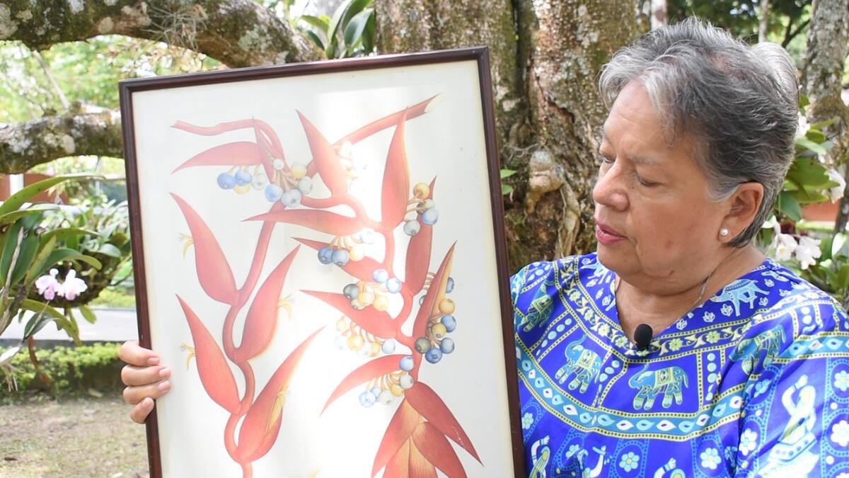 Uniminuto Tolima recibe donación de más de 500 láminas de la Expedición Botánica