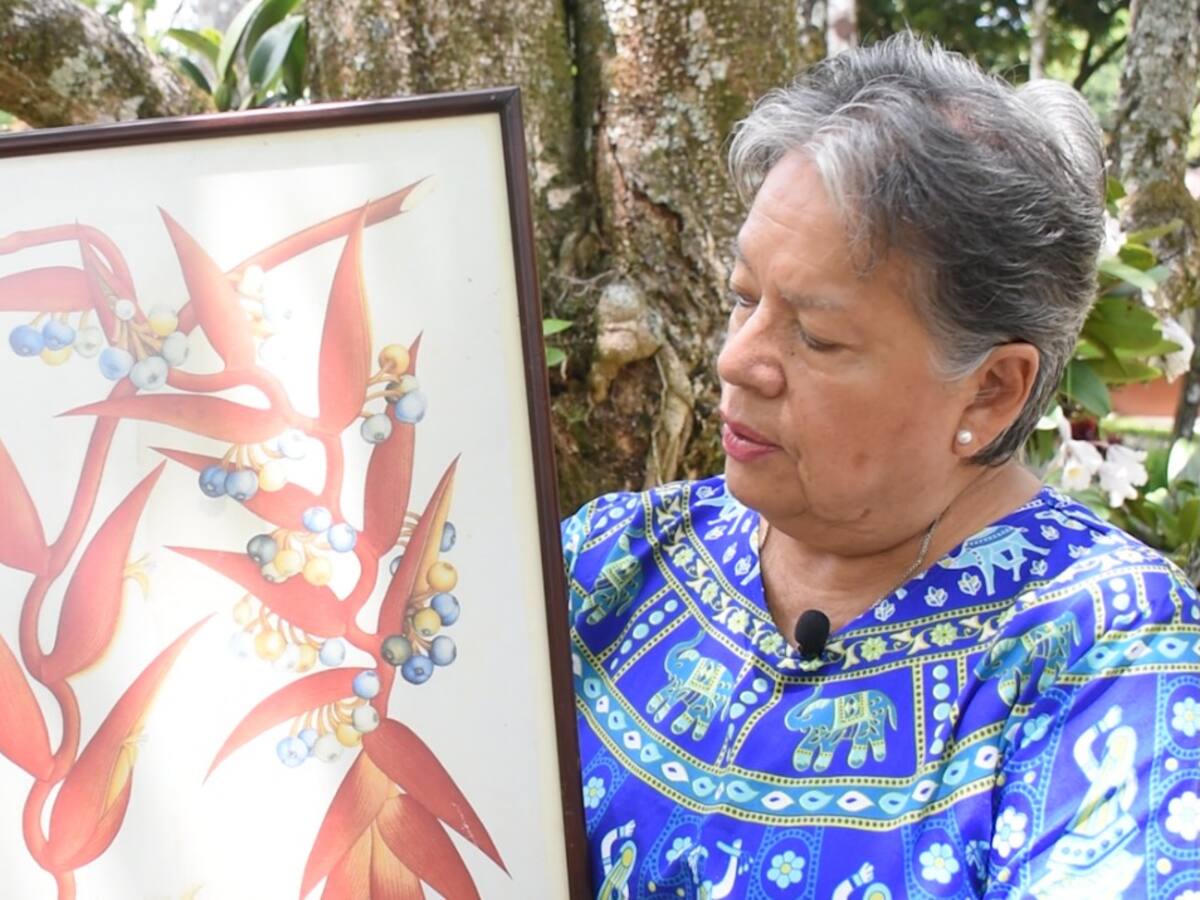 Uniminuto Tolima recibe donación de más de 500 láminas de la Expedición Botánica