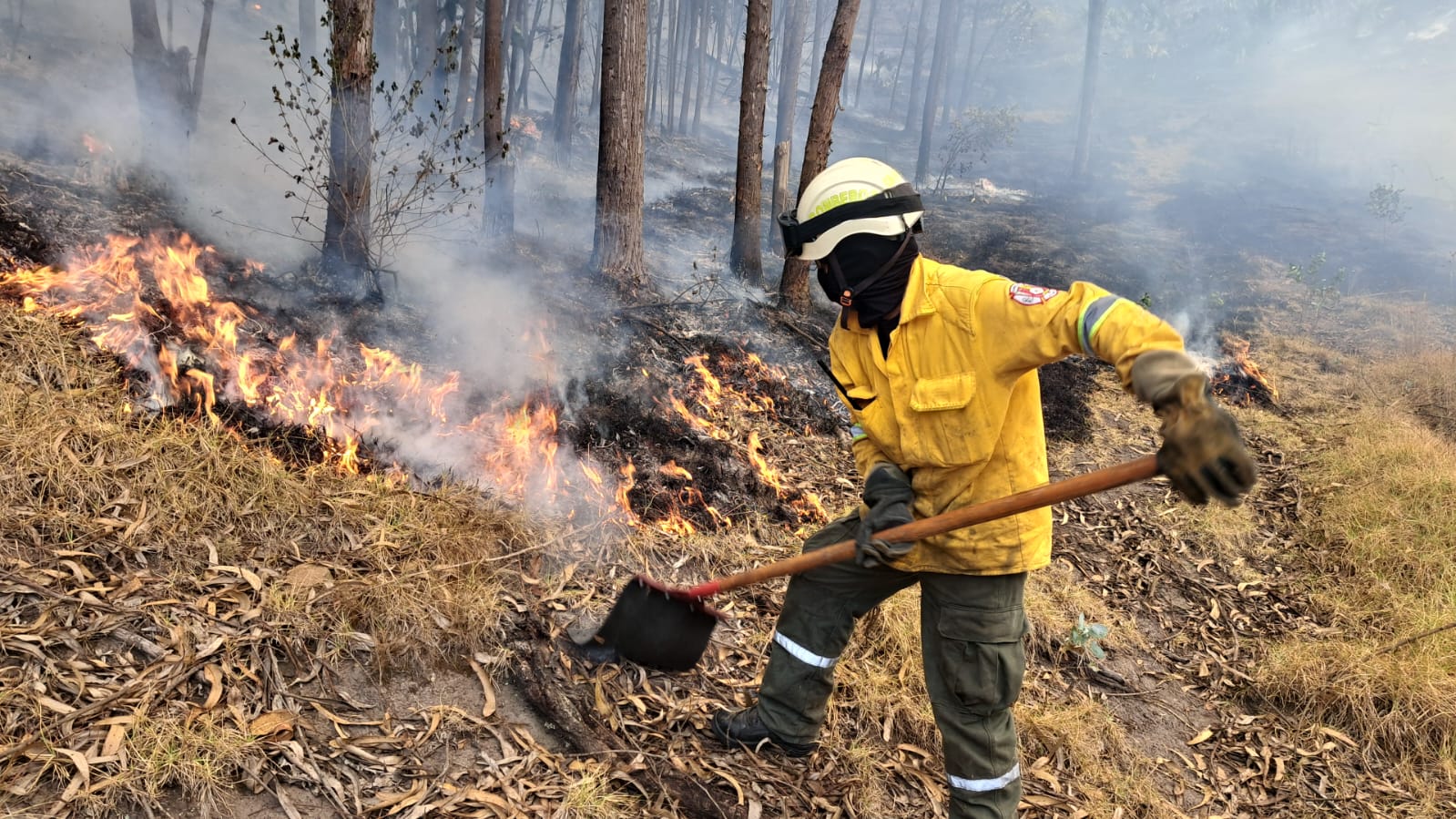 Bomberos atendiendo incendios forestales/ Foto: Imagen de Ilustración