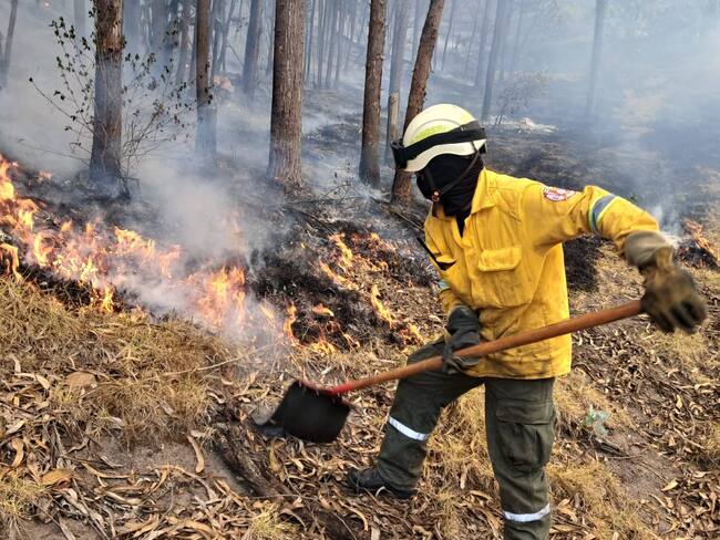 Bomberos atendiendo incendios forestales/ Foto: Imagen de Ilustración