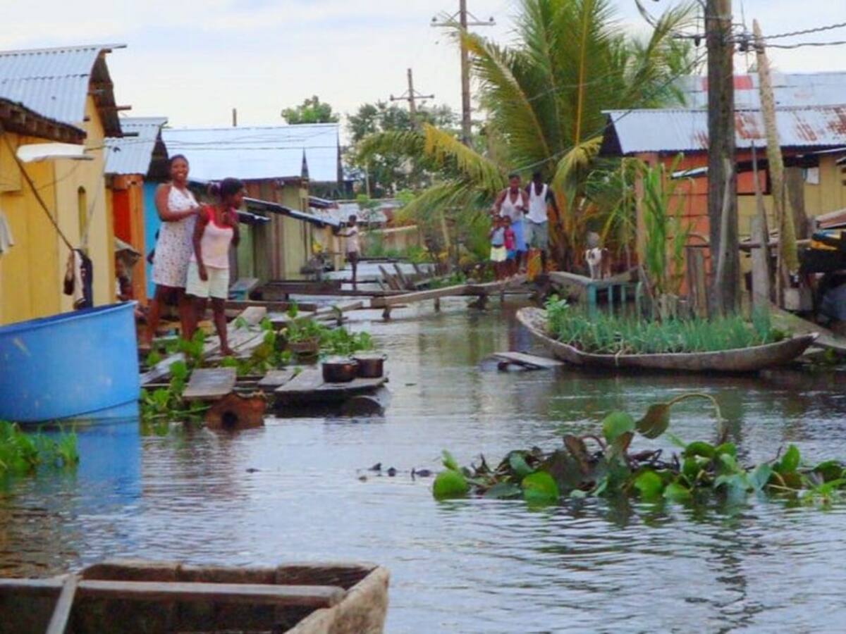Posadas Nativas, un proyecto para viajar al Chocó y sentirse como en casa