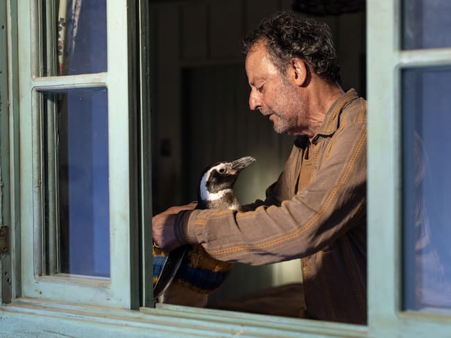 Escena de la película "Mi amigo el pingüino" / Foto: Cine Colombia y Si Hay Cine