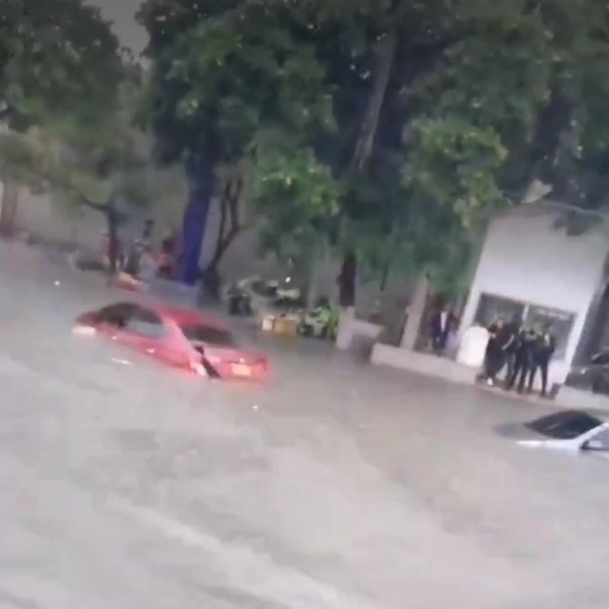 Lluvia en Barranquilla: árboles caídos, viviendas inundadas y vehículos atrapados