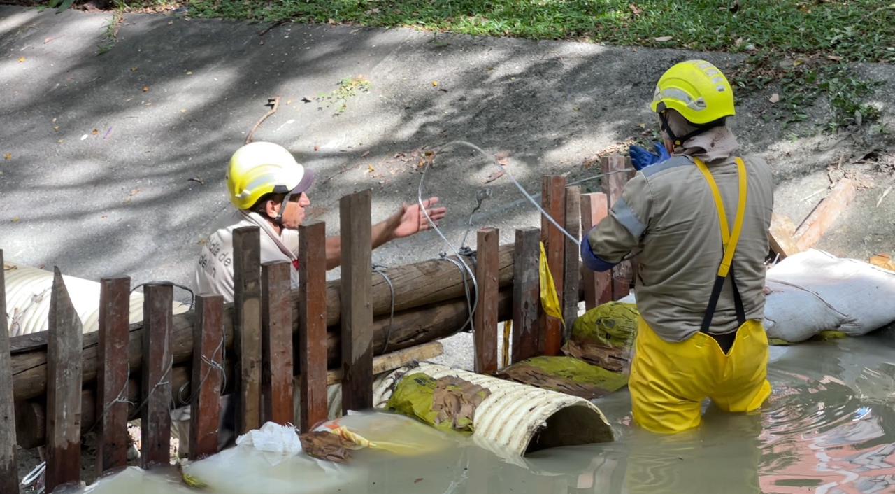 Foto: cortesía Alcaldía de Medellín.