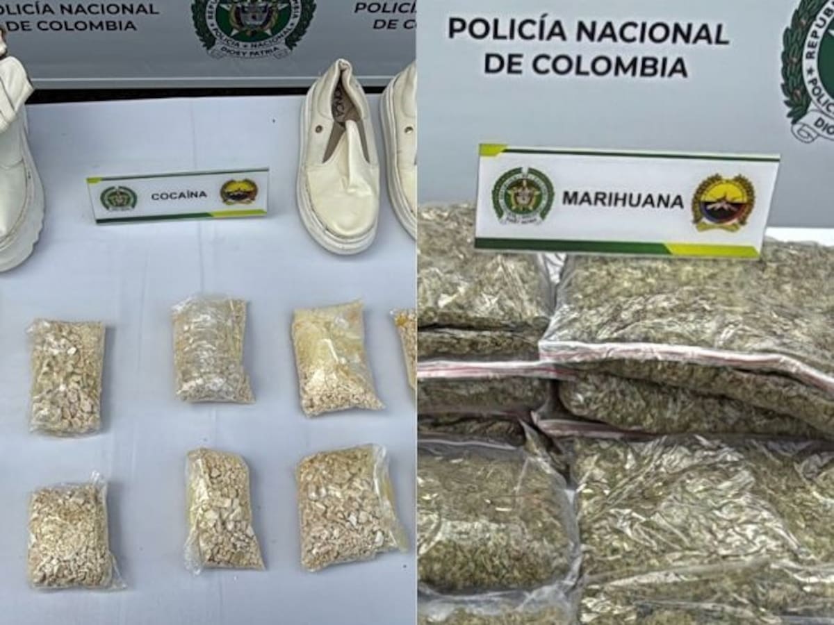 ‘Ares’, el canino de la policía en Manizales que detectó estupefacientes en varias encomiendas