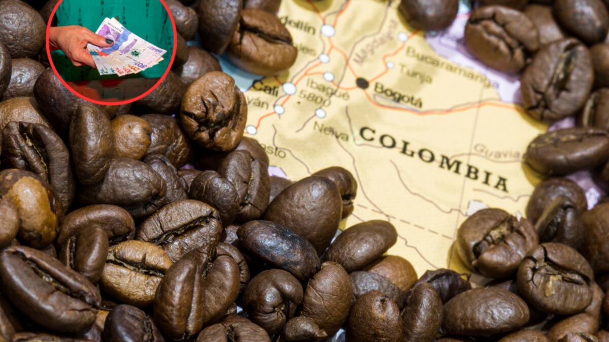 Precio del café en Colombia HOY, 8 de agosto: valor de la carga según la FNC