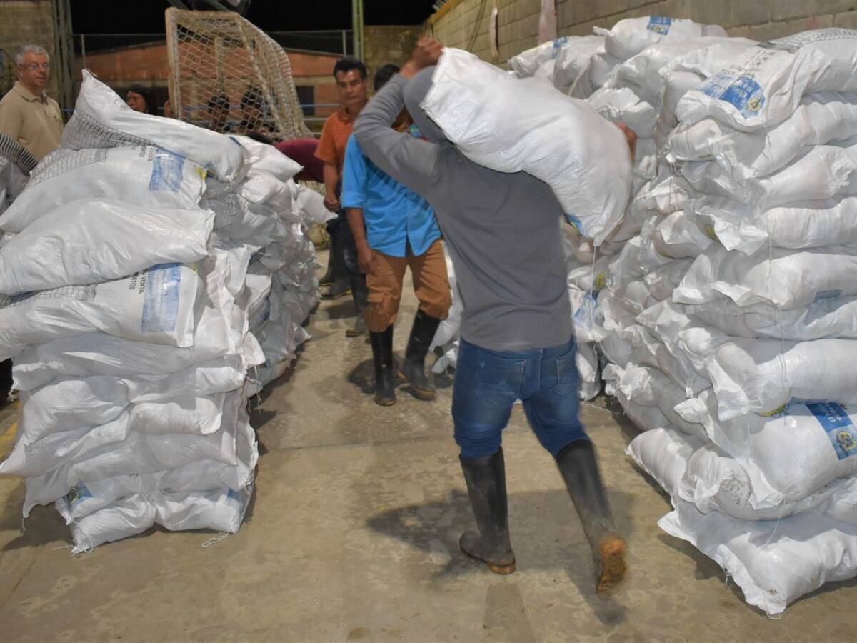 Entregan nuevas ayudas humanitarias a desplazados de Cáceres, Antioquia