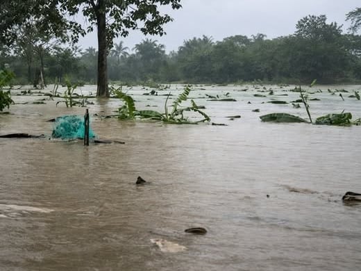 Inundaciones en San Juan de Urabá- alcaldía