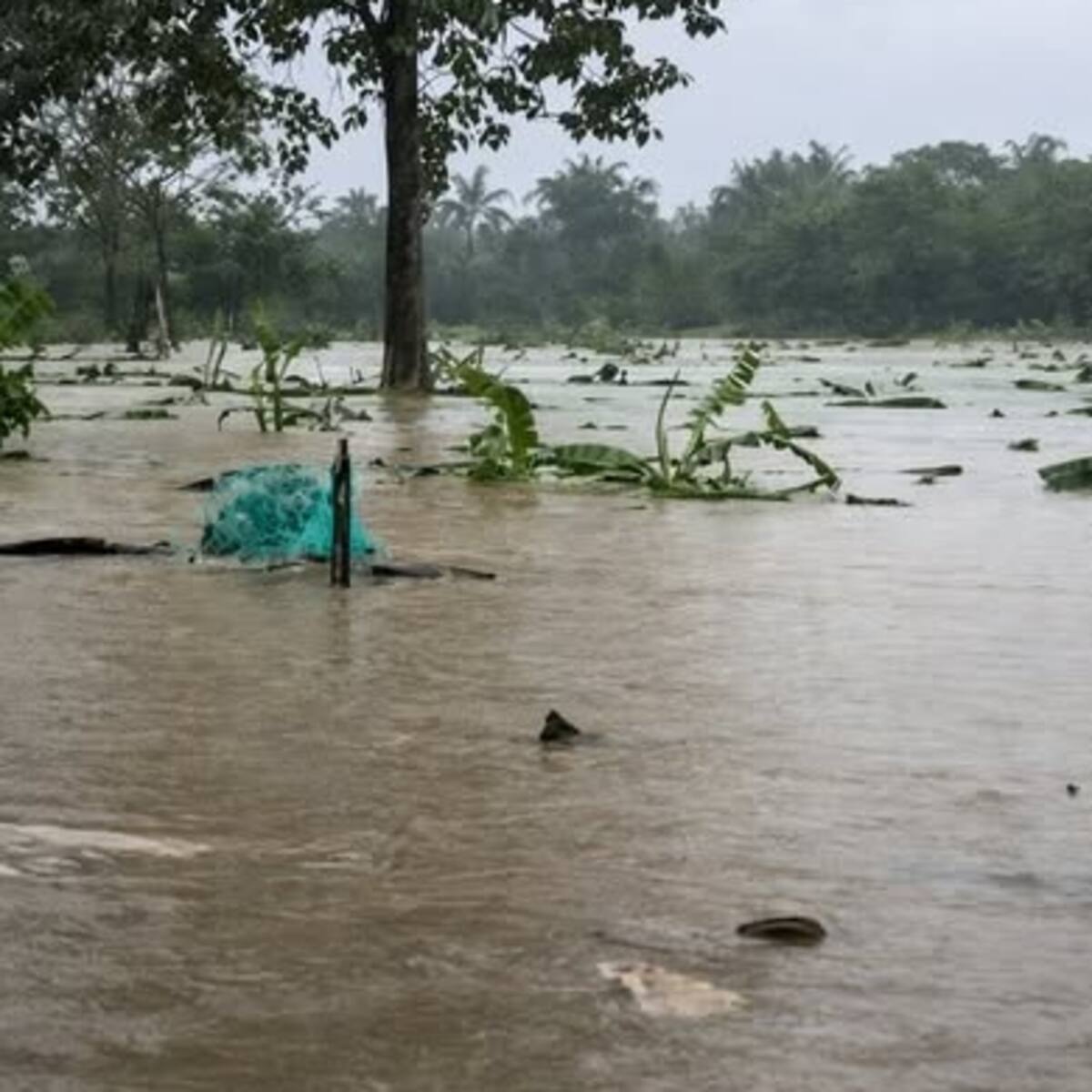 Reportan inundaciones en San Juan de Urabá y Necoclí, Antioquia